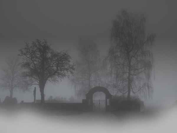 Nebel in Mainbullau
