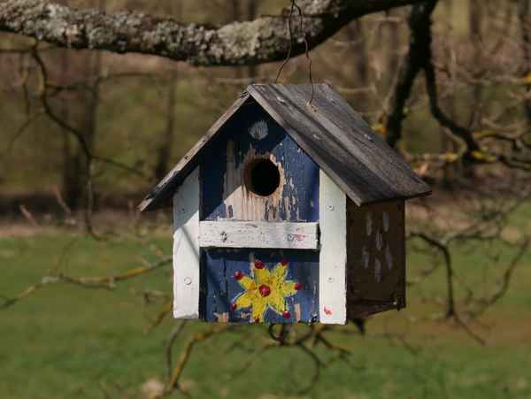 Buntes Vogelhäuschen