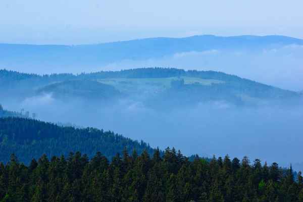 Fernsicht im Schwarzwald 3