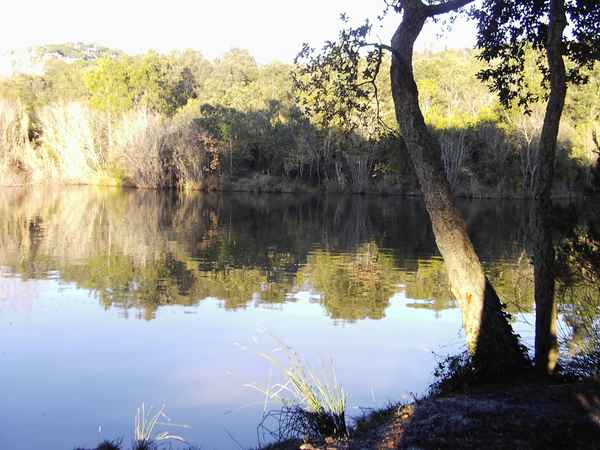 See im Wald01