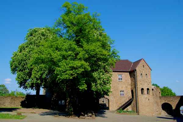 Schloß Broich zu Mülheim #2