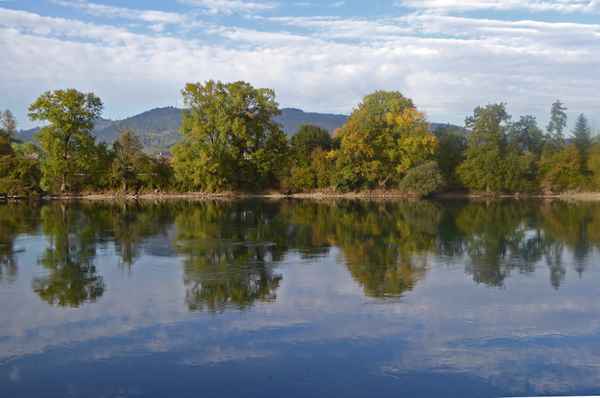 Gemächlich fliessender Rhein