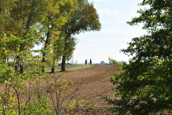  Reiter im Herbst