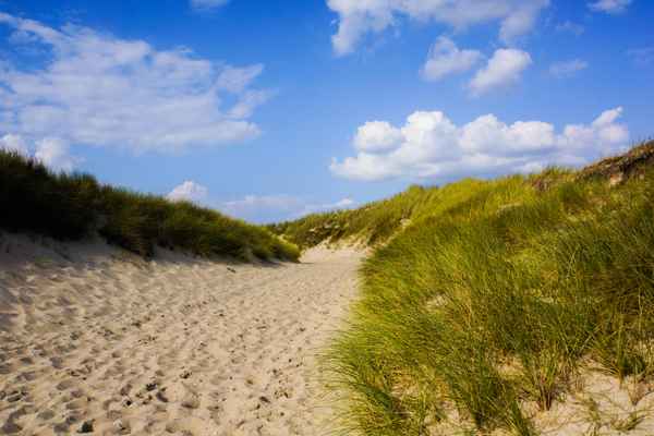 Strandweg mit Dünen_quer