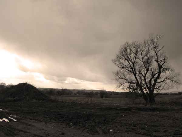 Winter ohne Schnee