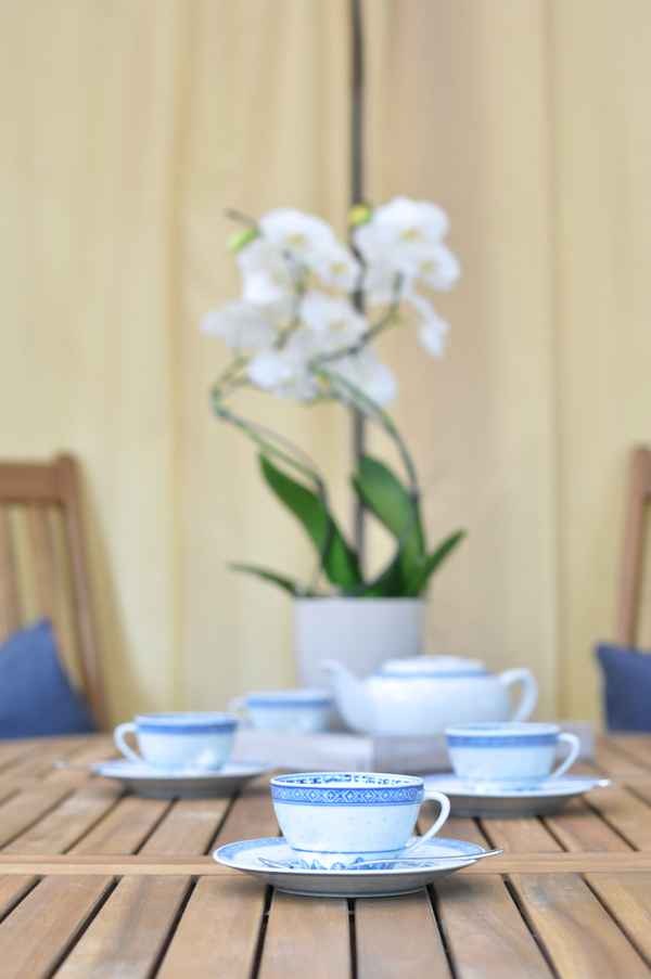 Tea Time
