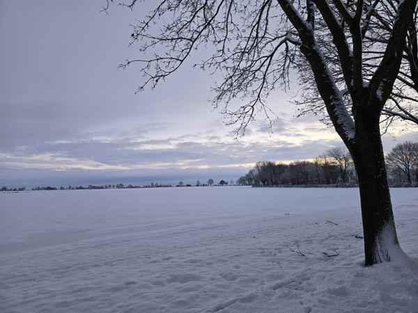Winterlandschaft