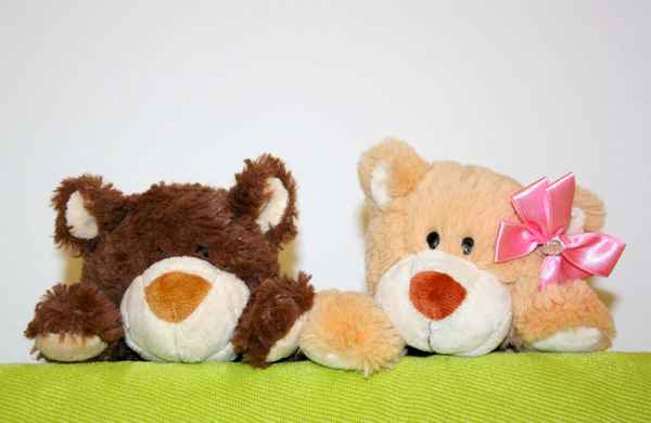 BÄRIGE FREUNDSCHAFT