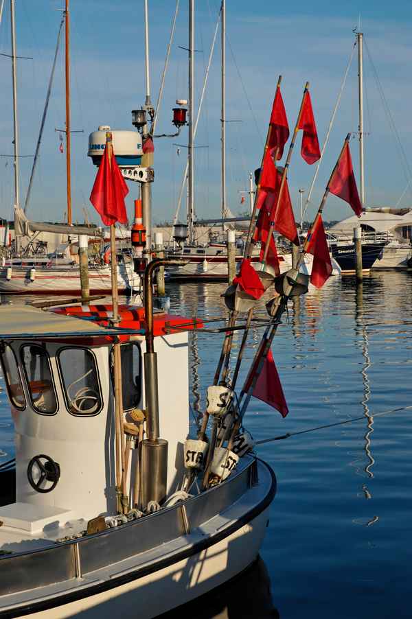 Fischerboot im Hafen