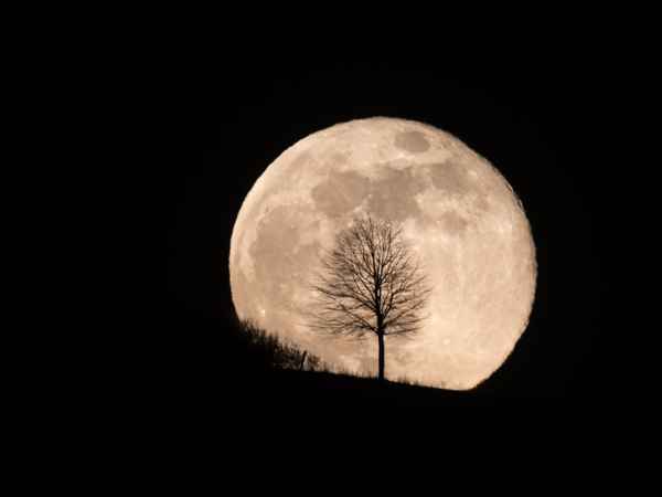 Vollmond