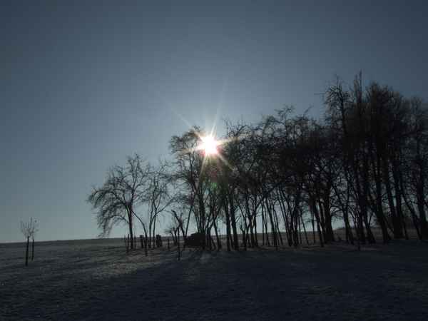 Winterreif im Odenwald, Serie 2