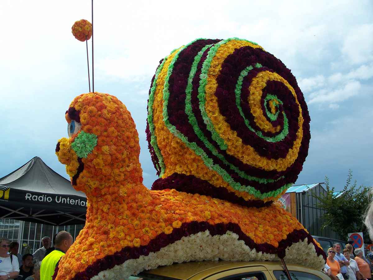 die Schnecke aus Blumen
