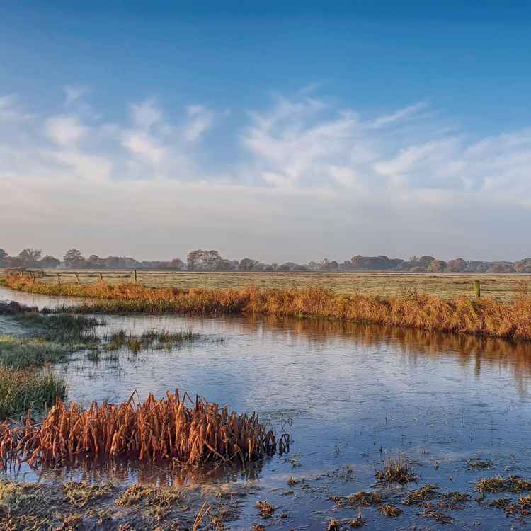 Erste Eisschicht auf Wümmegraben
