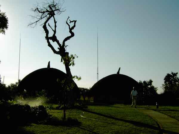 Südafrika - Krüger-NP - Impressionen 7
