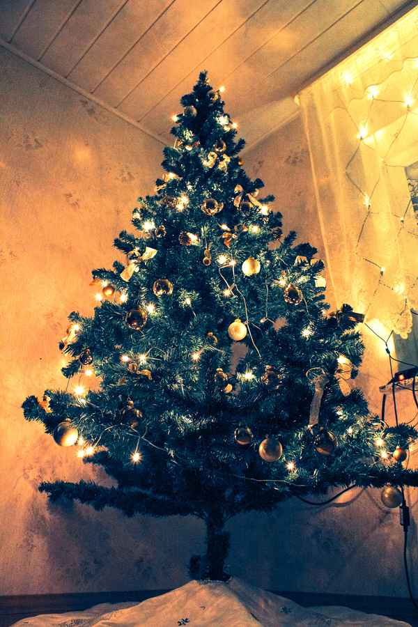 Weihnachtsbaum in der Ecke!