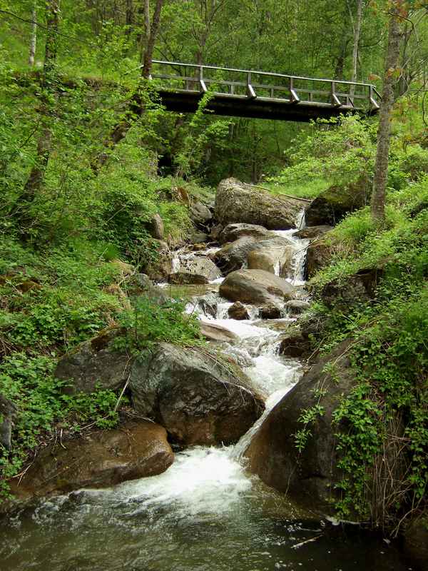 kleiner Wildbach mit Brücke_2