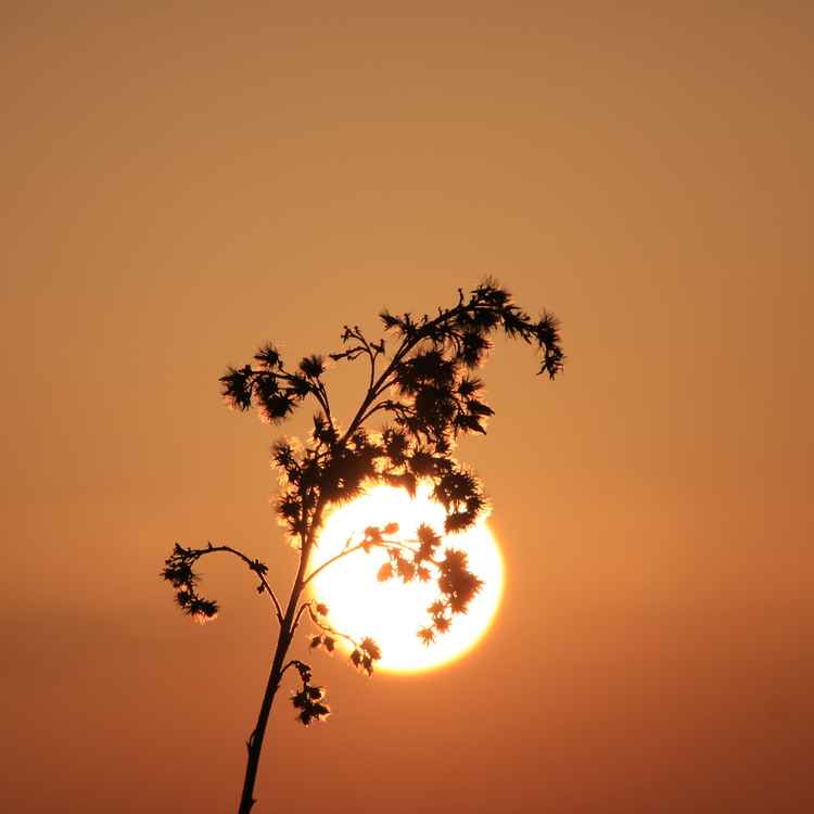Ich fang für Euch den Sonnenschein....