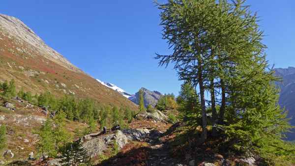 Aufstieg zur Anenhütte