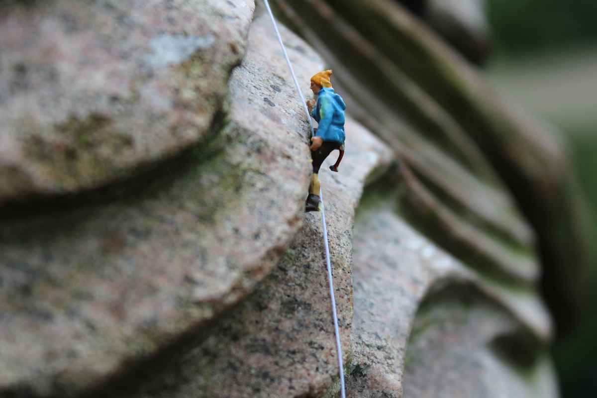 Bergsteiger