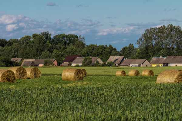 Heuballen im Feld