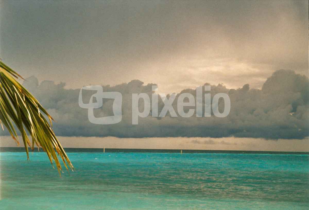 Regen im Paradies