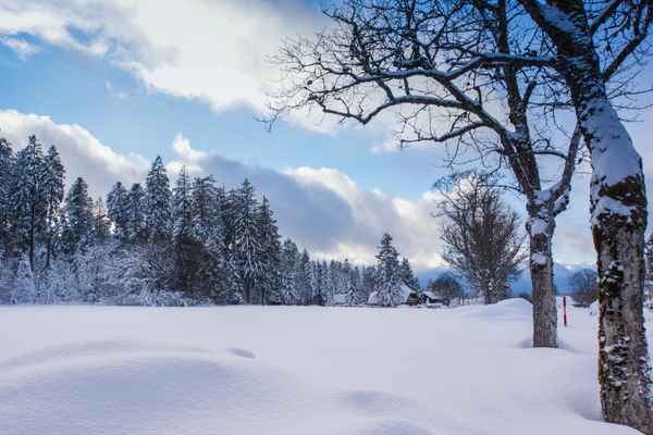 Schwarzwald-Winter