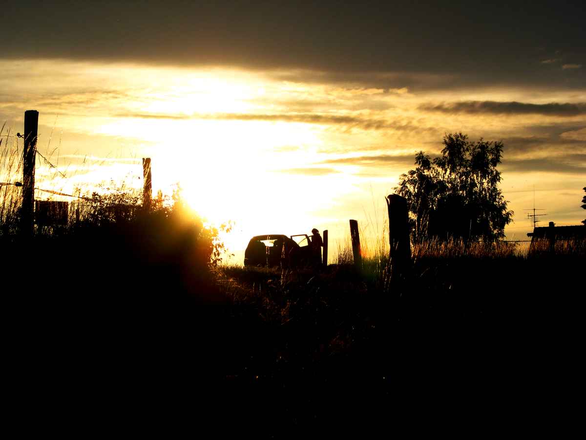 Sommerabend