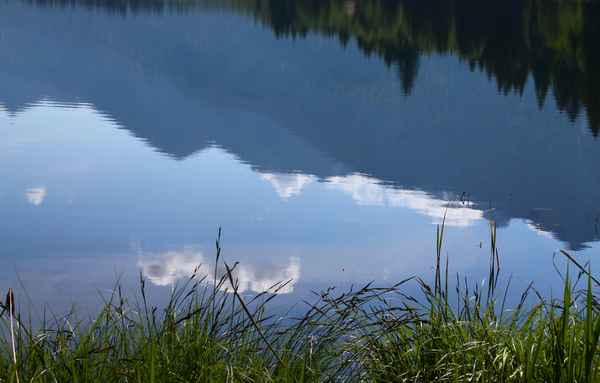 Harmonie der Natur 03