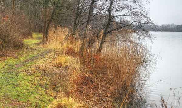 Uferweg am Angelteich 2