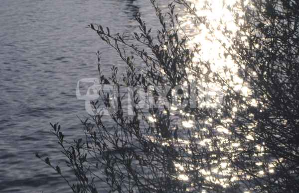 Sonne im See