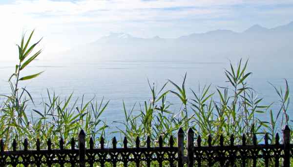 Urlaubs-Ausblick