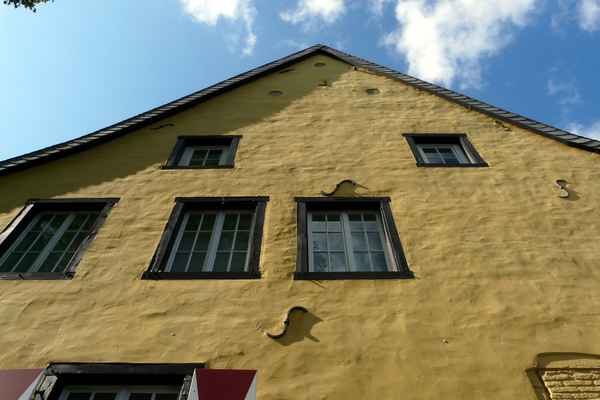 Zons am Rhein #14