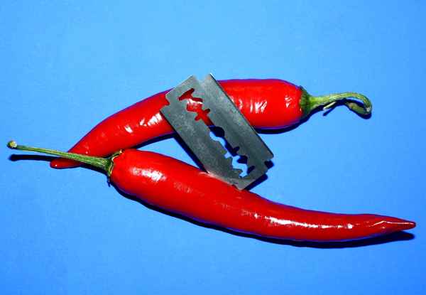 SCHARF..........UND NOCH SCHÄRFER