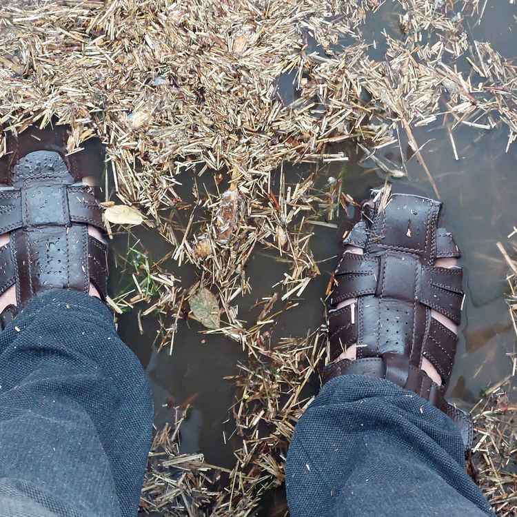 MAnn steht mit braunen Sandalen in Pfütze