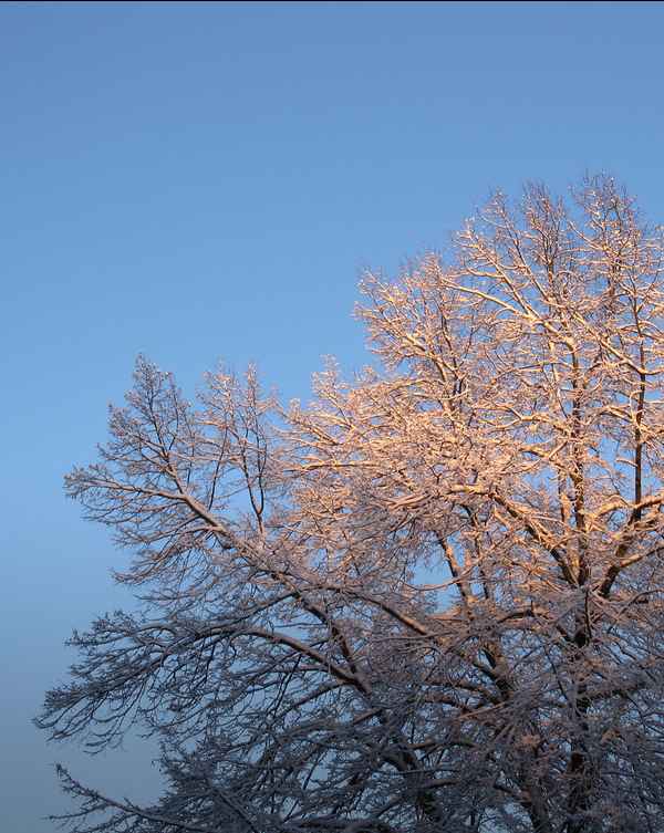 Winteraufgang 2/4