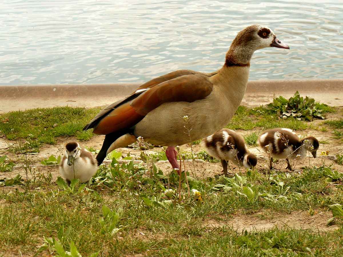"Mama ist zufrieden!"