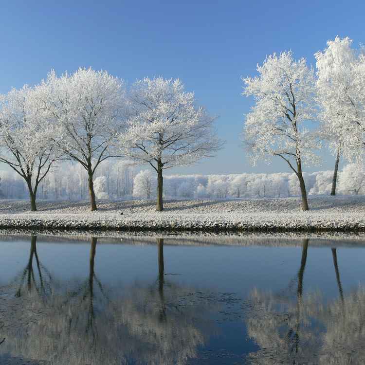 Traumhafte Winterlandschaft