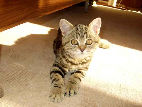 Bluna in der Sonne 2