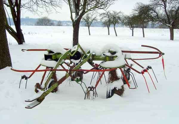 Warten auf Heuwender-Wetter