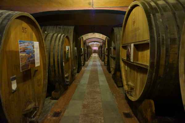 Weinkeller in Barolo, Italien (Piemont)