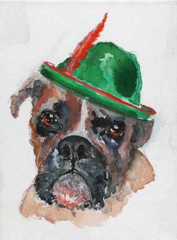 Boxer RENKO der Sentimentale
