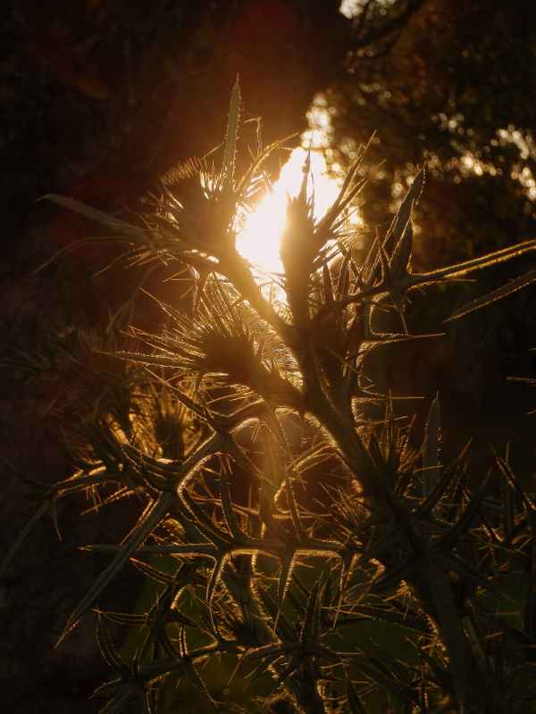 5 Minuten Abendstimmung