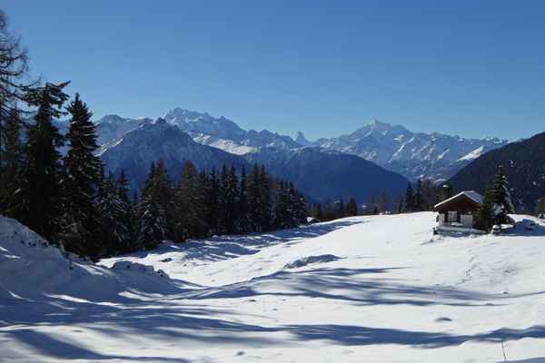 Auf der Bettmeralp / 2