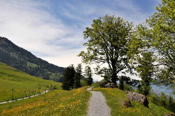 Erholung im Paradies