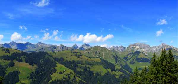 Panoramablick in die Fribourger Alpen
