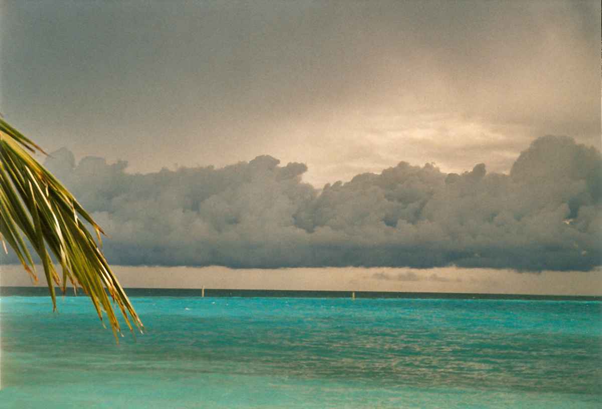 Regen im Paradies