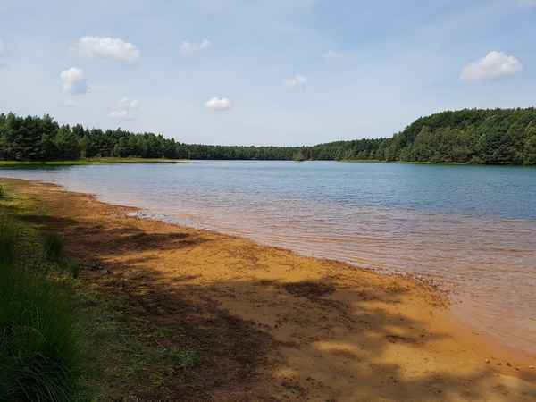 Wippinger Kolk im Emsland
