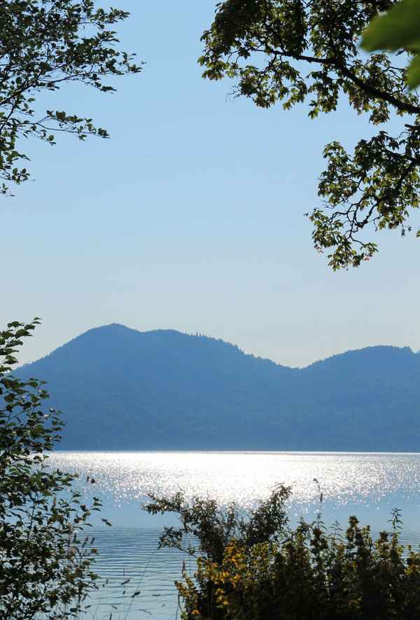Ein Sommermorgen am See 01