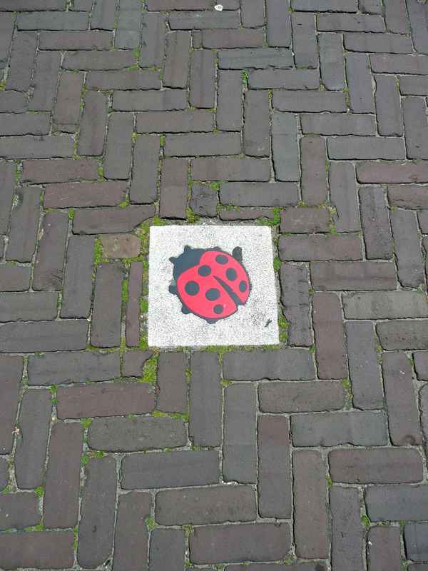 Mit Füßen getreten