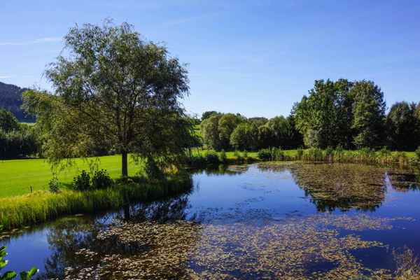 Oase der Ruhe